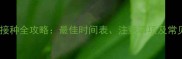 泰迪犬疫苗接种全攻略最佳时间表注意事项及常见问题解答