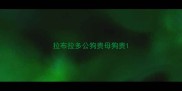 拉布拉多公狗贵母狗贵