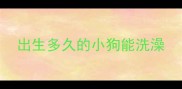 出生多久的小狗能洗澡