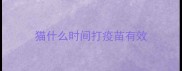 猫什么时间打疫苗有效
