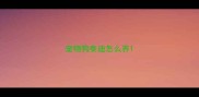 宠物狗泰迪怎么养