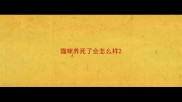 猫咪养死了会怎么样