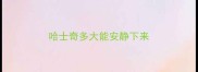 哈士奇多大能安静下来