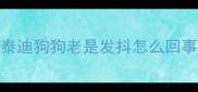 泰迪狗狗老是发抖怎么回事
