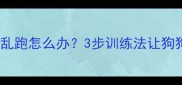 幼犬睁眼乱叫乱跑怎么办3步训练法让狗狗秒变乖宝宝