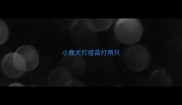 小鹿犬打疫苗打两只