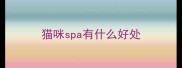 猫咪spa有什么好处