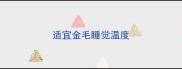 适宜金毛睡觉温度