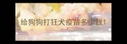 给狗狗打狂犬疫苗多少钱
