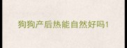狗狗产后热能自然好吗