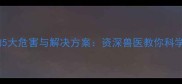 小狗驱虫不彻底的5大危害与解决方案资深兽医教你科学应对寄生虫危机