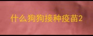什么狗狗接种疫苗