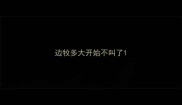 边牧多大开始不叫了