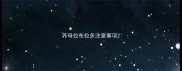 养母拉布拉多注意事项