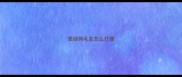泰迪狗毛发怎么打理