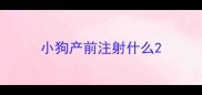 小狗产前注射什么