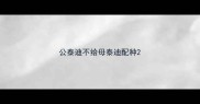 公泰迪不给母泰迪配种