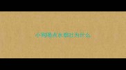 小狗喝点水都吐为什么