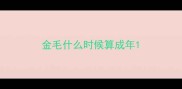 金毛什么时候算成年