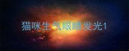 猫咪生气眼睛发光