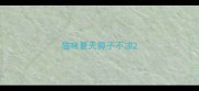 猫咪夏天鼻子不凉