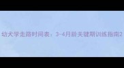 幼犬学走路时间表3-4月龄关键期训练指南