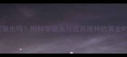 猫咪打疫苗期间能驱虫吗附科学驱虫与疫苗接种的黄金时间表及注意事项