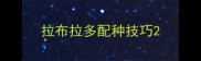 拉布拉多配种技巧