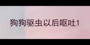 狗狗驱虫以后呕吐