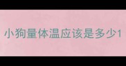 小狗量体温应该是多少