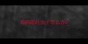 狗狗呕吐虫子怎么办