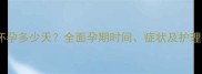 猫咪怀孕多少天全面孕期时间症状及护理指南