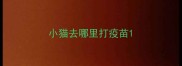 小猫去哪里打疫苗
