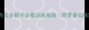 30天速成拉布拉多新手必看训练指南附零基础拆家纠正全攻略
