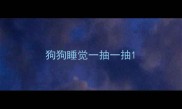狗狗睡觉一抽一抽