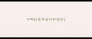 拉布拉多冬天拴在室外