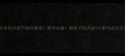 拉布拉多幼犬能不能吃蜂蜜新手必看蜂蜜对幼犬的5大影响及安全吃法