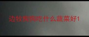 边牧狗狗吃什么蔬菜好