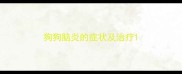 狗狗脑炎的症状及治疗