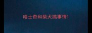 哈士奇和柴犬搞事情