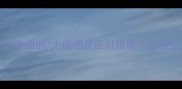 猫咪后腿不能弯曲的7大原因及应对措施宠物主人必读指南