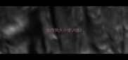 宠物狗大小便训练