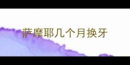萨摩耶几个月换牙