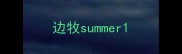 边牧summer