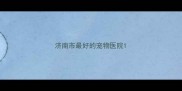 济南市最好的宠物医院