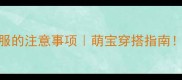 泰迪幼犬穿衣服的注意事项萌宝穿搭指南新手必看
