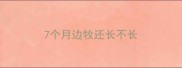 7个月边牧还长不长