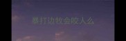 暴打边牧会咬人么