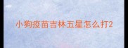 小狗疫苗吉林五星怎么打