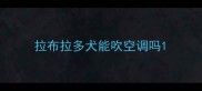 拉布拉多犬能吹空调吗